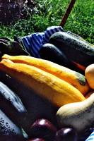 Alouane SAID - Alouane Said Ruspoli